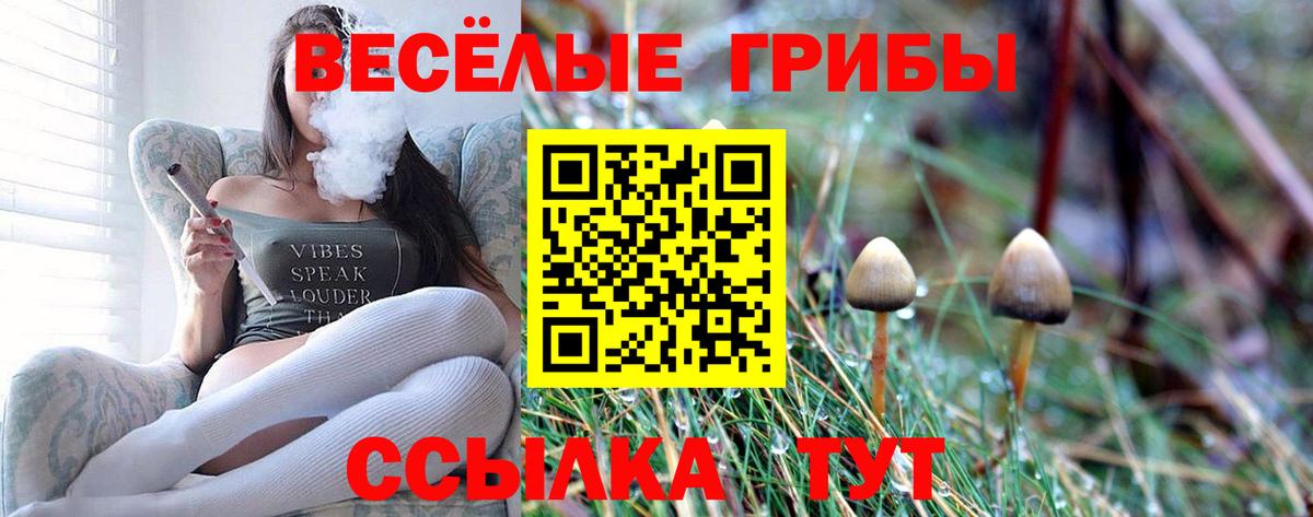 Ростов-на-Дону  Псилоцибиновые грибы Cubensis  Вход с VPN 
